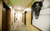 Туры в отель Junyi Hotel (Xiao County Huaihai West Road)