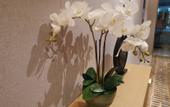 Туры в отель Manju Prestige Hotel (Hangzhou Liangzhu Ancient City Ruins)