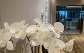 Туры в отель Manju Prestige Hotel (Hangzhou Liangzhu Ancient City Ruins)