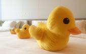Туры в отель Manju Prestige Hotel (Hangzhou Liangzhu Ancient City Ruins)