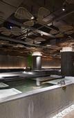 Туры в отель Tianqing Hot Spring Hotel