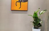 Туры в отель Shankee Hotel (Xiao County New County Hospital)