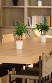Туры в отель MQ HOTEL(Nantong University North Store)