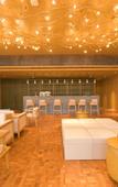 Туры в отель Hilton Suzhou New District