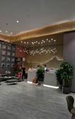 Туры в отель Ritz Hotel (Shenzhen Chaguang Metro Station)