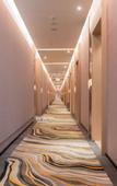 Туры в отель Ritz Hotel (Shenzhen Chaguang Metro Station)