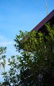 Туры в отель Run Gu Zhuang Guanxing Shanshe Hotel