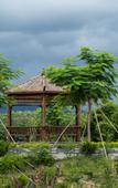 Туры в отель Jinhua Leisure and Health Resort