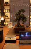 Туры в отель Found Retreat Jiande Hangzhou