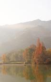 Туры в отель Found Retreat Jiande Hangzhou