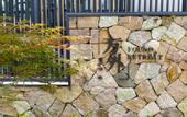 Туры в отель Found Retreat Jiande Hangzhou