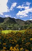 Туры в отель Pukelai Hotel, Mupingzhuang