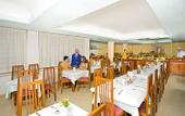 Туры в отель Playasol Palma Cactus
