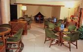 Туры в отель Playasol Palma Cactus