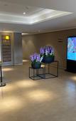 Туры в отель Homeinn Plus Hotel (Wuhan Zhuankou Sports Center)