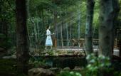 Туры в отель Yushui Hidden Villa