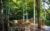 Туры в отель Yushui Hidden Villa