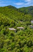 Туры в отель Yushui Hidden Villa