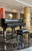 Туры в отель Aowei Hotel (Yancheng Government Financial City)