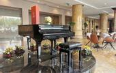Туры в отель Aowei Hotel (Yancheng Government Financial City)