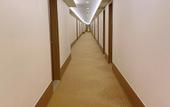 Туры в отель HanTing Hotel (Shanghai New International Expo Center Fanghua Road)