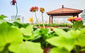 Туры в отель Homeinn Selected Hotel (Taiyuan High-tech Zone Xuefu Street Subway Station)