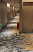 Туры в отель Mei Youpin Hotel (Shenzhen Baoan Airport Gushu Subway Station Branch)