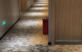 Туры в отель Mei Youpin Hotel (Shenzhen Baoan Airport Gushu Subway Station Branch)