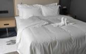 Туры в отель Jingfan Hotel