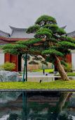 Туры в отель Song Hotel Chengdu Qingcheng