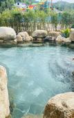 Туры в отель Forest Hot Springs Resort Hotel