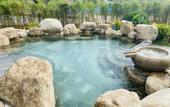 Туры в отель Forest Hot Springs Resort Hotel