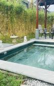 Туры в отель Forest Hot Springs Resort Hotel
