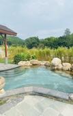 Туры в отель Forest Hot Springs Resort Hotel