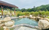 Туры в отель Forest Hot Springs Resort Hotel