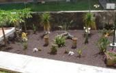 Туры в отель Los Ficus