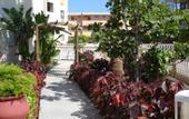 Туры в отель Los Ficus
