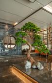 Туры в отель Holiday Inn Express PINGCHANG by IHG
