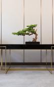 Туры в отель Holiday Inn Express PINGCHANG by IHG