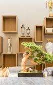 Туры в отель Holiday Inn Express PINGCHANG by IHG