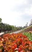 Туры в отель Century International Cruise Hotel Of JMI