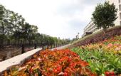 Туры в отель Century International Cruise Hotel Of JMI