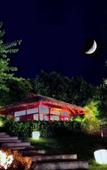 Туры в отель Stay Zen Hotel