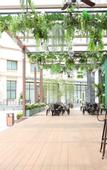 Туры в отель Stay Zen Hotel