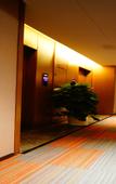 Туры в отель GreenTree Eastern Hotel (Chongqing Jiefangbei Qixinggang Metro Station)