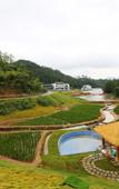 Туры в отель Anhui Jiaotong Huifeng Yuyun Taiping Lake Hotel