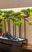 Туры в отель Qiu Duo  Hotel