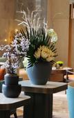 Туры в отель Gang Fu NARADA Grand Hotel