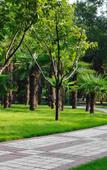 Туры в отель Jiangmen Yishang Hotel