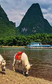 Туры в отель Yangshuo Yi Lan Hotel